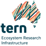 TERN