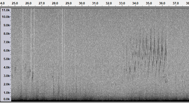 spectrogram